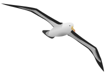 Oiseau