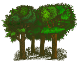 Forêts