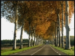 mon-image
