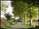mon-image
