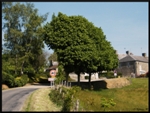 mon-image