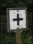 mon-image