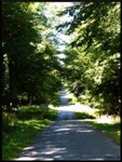 mon-image