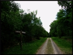 mon-image