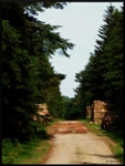 mon-image