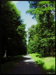 mon-image
