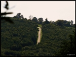mon-image