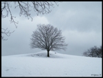 mon-image