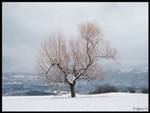 mon-image