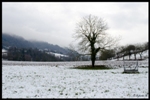 mon-image