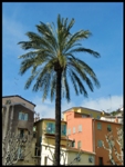 mon-image