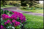 mon-image