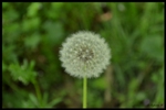 mon-image