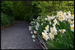mon-image