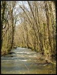 mon-image