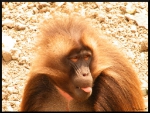 mon-image