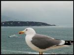 mon-image