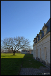 mon-image