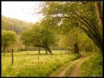 mon-image