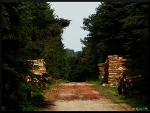 mon-image