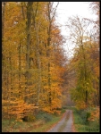 mon-image