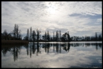 mon-image