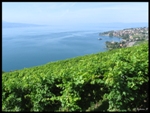 mon-image