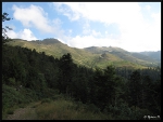 mon-image