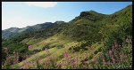 mon-image