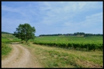 mon-image