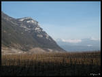 mon-image