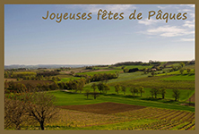 mon-image