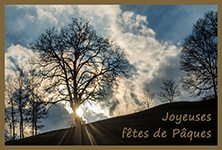 mon-image