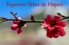 mon-image