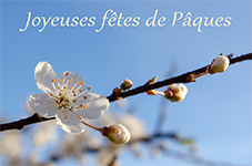 mon-image