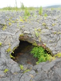 mon-image