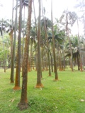 mon-image